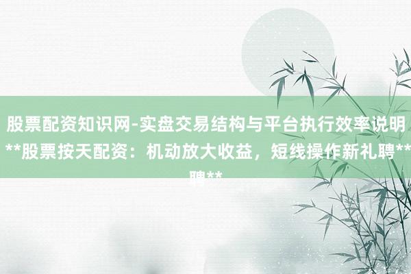 股票配资知识网-实盘交易结构与平台执行效率说明 **股票按天配资：机动放大收益，短线操作新礼聘**